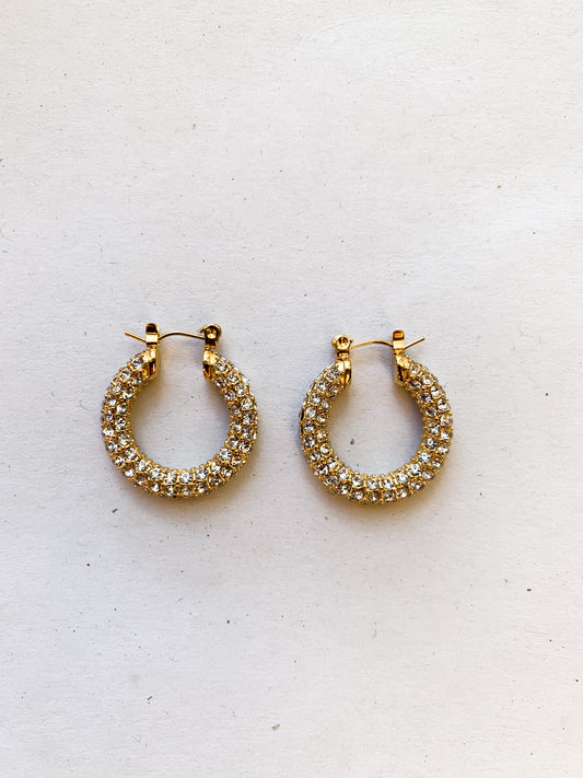 Roxy | Hoop Earrings